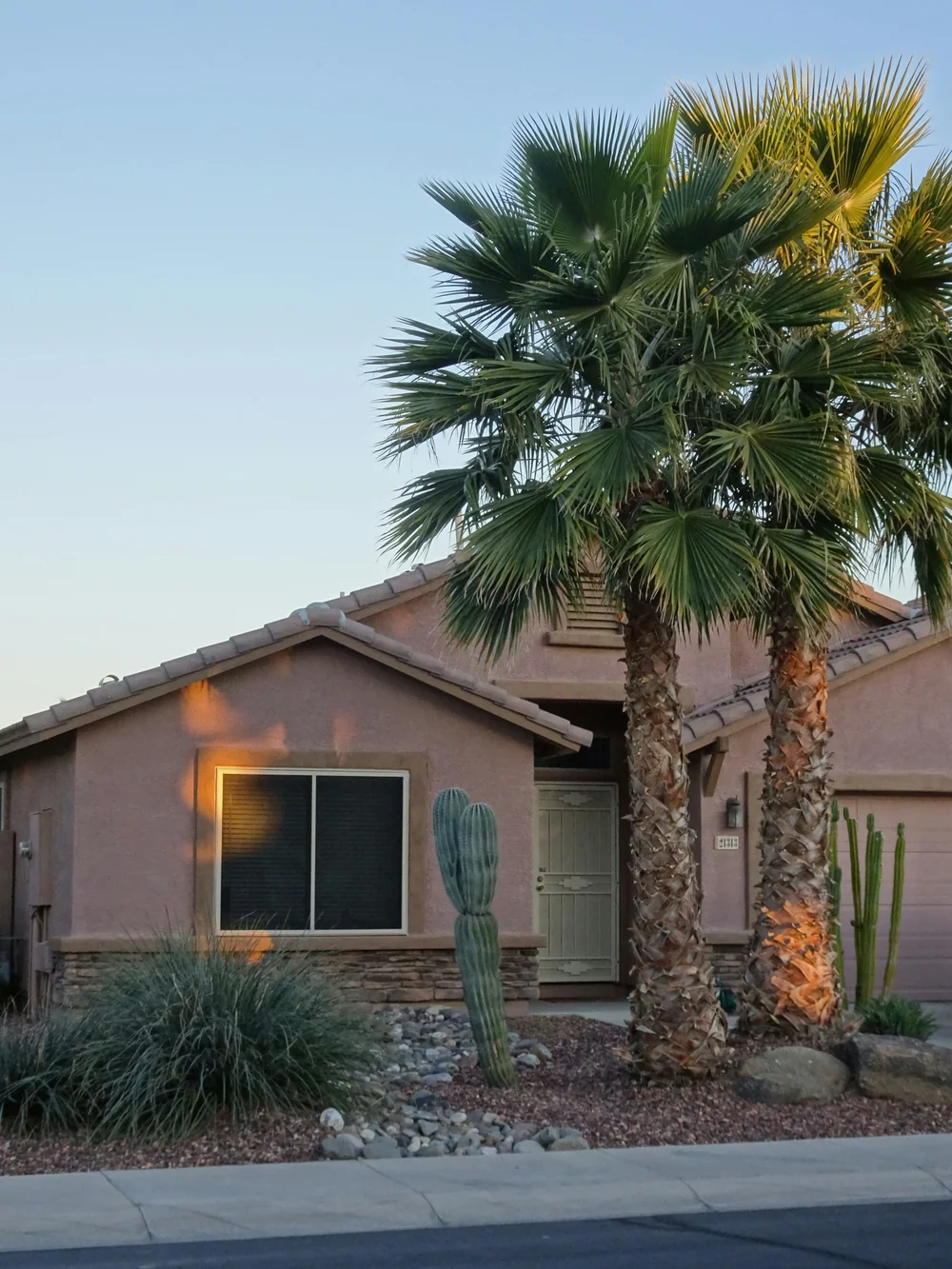 Phoenix Arizona stucco home with palm trees and desert landscaping — residential pest control